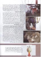 مجله کودک 299 صفحه 20