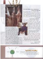 مجله کودک 299 صفحه 19