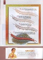مجله کودک 299 صفحه 39