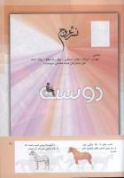 مجله کودک 300 صفحه 41