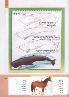 مجله کودک 300 صفحه 39