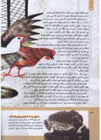 مجله کودک 302 صفحه 34
