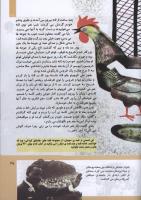 مجله کودک 302 صفحه 35