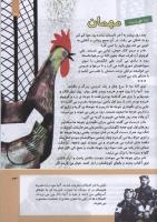 مجله کودک 302 صفحه 33