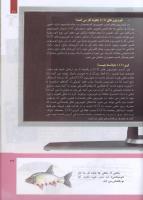 مجله کودک 303 صفحه 27
