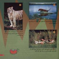 مجله خردسال 05 صفحه 23