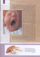 مجله کودک 305 صفحه 17
