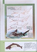 مجله کودک 308 صفحه 39