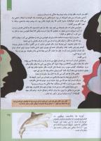 مجله کودک 308 صفحه 35