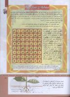 مجله کودک 312 صفحه 31