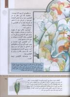 مجله کودک 312 صفحه 35