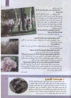 مجله کودک 313 صفحه 13
