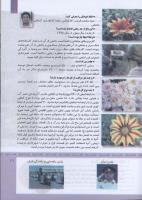 مجله کودک 313 صفحه 11