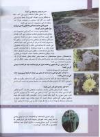 مجله کودک 313 صفحه 12