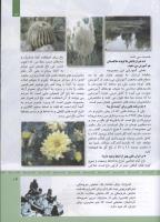 مجله کودک 314 صفحه 13