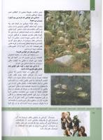 مجله کودک 314 صفحه 12