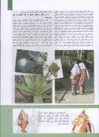 مجله کودک 314 صفحه 11