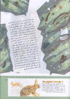 مجله کودک 314 صفحه 15