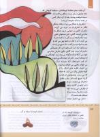 مجله کودک 318 صفحه 34
