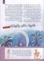 مجله کودک 319 صفحه 33