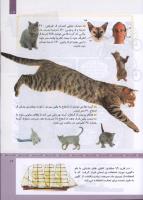 مجله کودک 319 صفحه 19