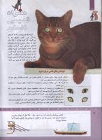 مجله کودک 319 صفحه 18