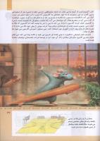 مجله کودک 320 صفحه 37