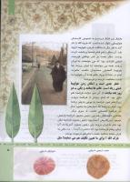 مجله کودک 321 صفحه 5