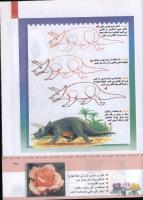 مجله کودک 325 صفحه 39