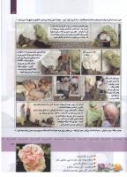 مجله کودک 327 صفحه 13