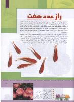 مجله کودک 327 صفحه 17