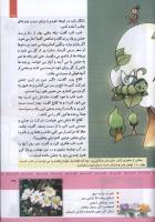 مجله کودک 329 صفحه 35
