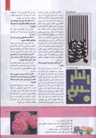 مجله کودک 329 صفحه 13