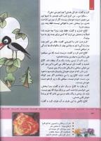 مجله کودک 329 صفحه 34