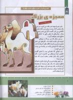 مجله کودک 331 صفحه 8