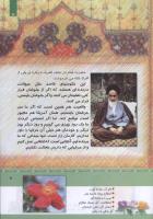 مجله کودک 331 صفحه 5
