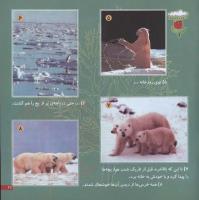 مجله خردسال 20 صفحه 21