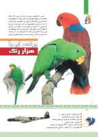 مجله کودک 334 صفحه 18