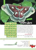 مجله کودک 338 صفحه 31