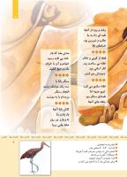 مجله کودک 341 صفحه 7
