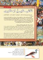 مجله کودک 341 صفحه 10
