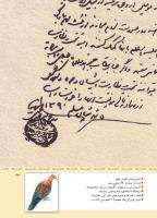 مجله کودک 341 صفحه 43