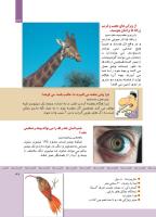 مجله کودک 343 صفحه 37