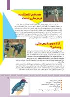 مجله کودک 343 صفحه 29