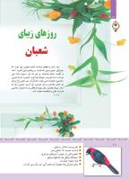 مجله کودک 345 صفحه 18