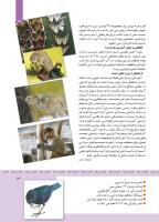 مجله کودک 345 صفحه 13