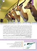 مجله کودک 345 صفحه 12