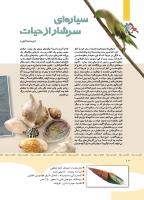 مجله کودک 347 صفحه 10