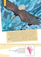 مجله کودک 347 صفحه 19