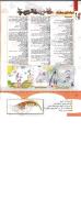 مجله کودک 348 صفحه 40